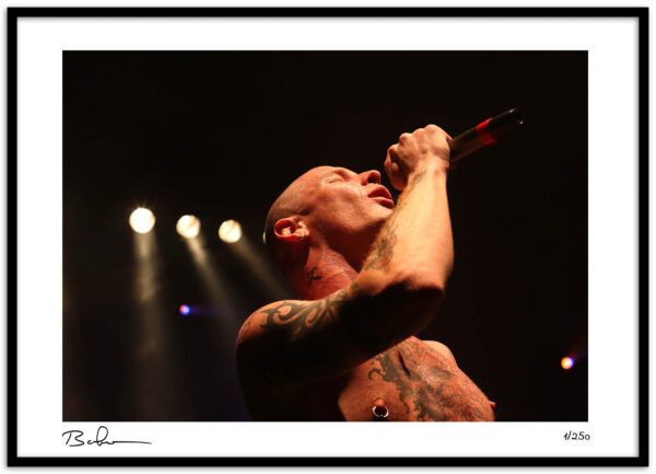 StoneSour-13