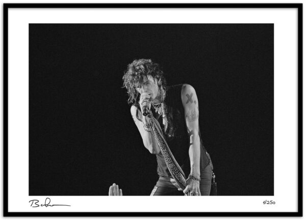 Steven Tyler-9