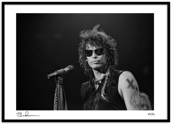 Steven Tyler-2