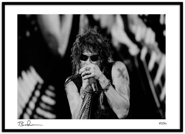 Steven Tyler-3