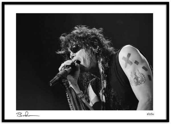 Steven Tyler-5