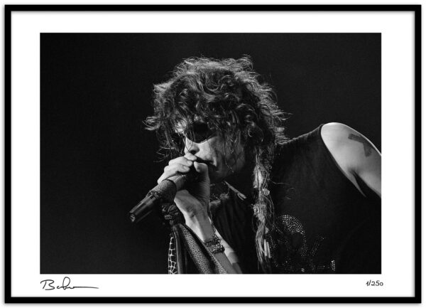 Steven Tyler-6