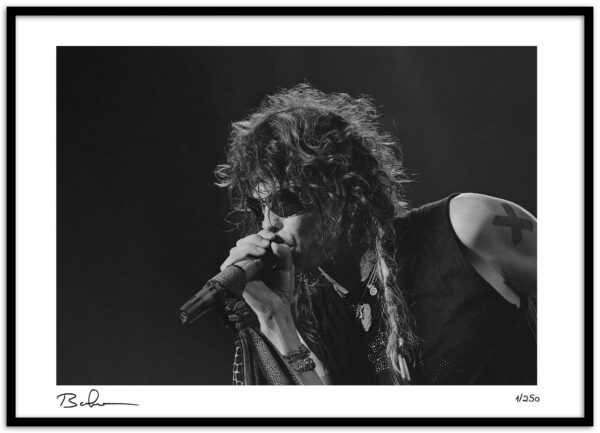 Steven Tyler-8